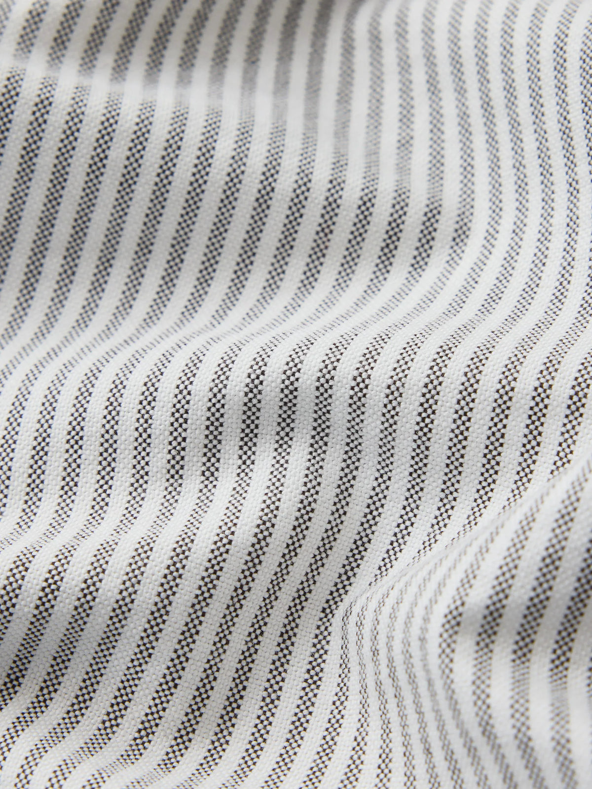 Olive/White Brook Stripe Big Oxford